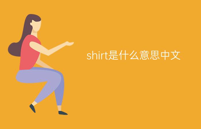 shirt是什么意思中文