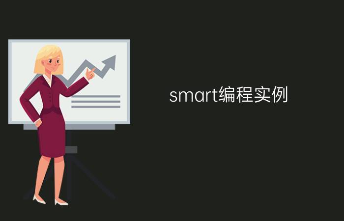 smart编程实例