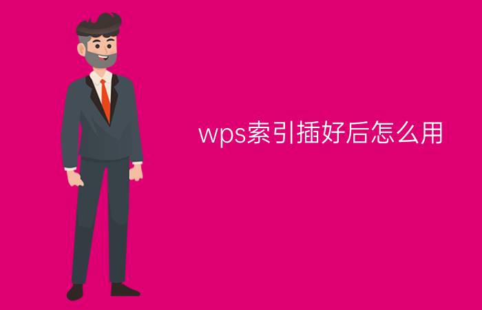 wps索引插好后怎么用