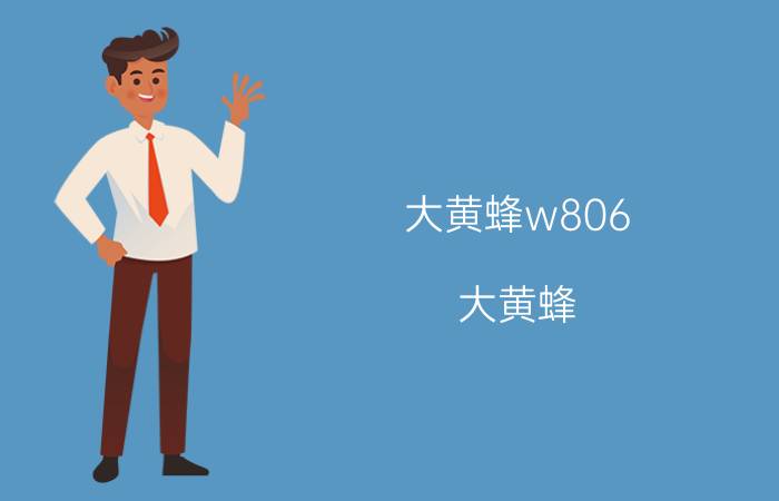 大黄蜂w806(大黄蜂)