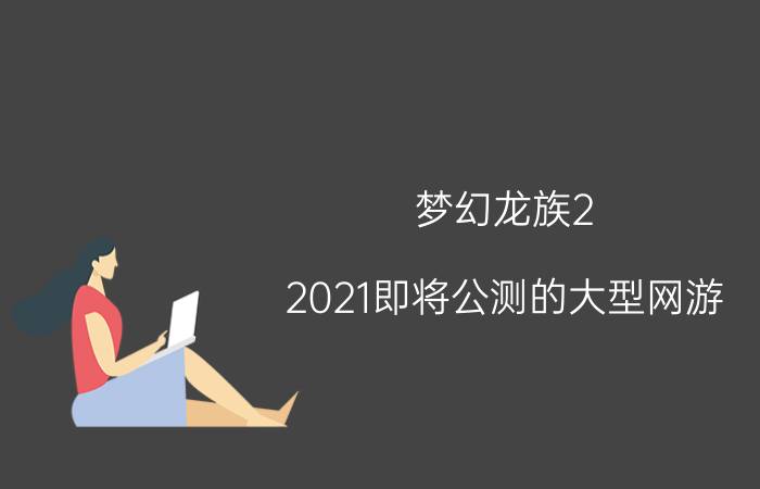 梦幻龙族2（2021即将公测的大型网游）