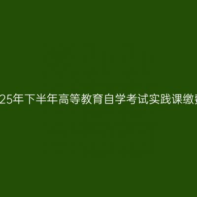 上海大学2025年下半年高等教育自学考试实践课缴费注意事项