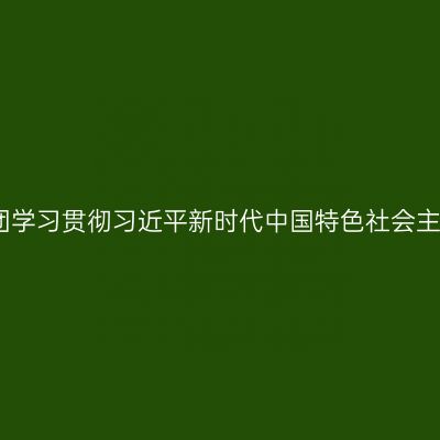 传爱集团学习贯彻习近平新时代中国特色社会主义思想