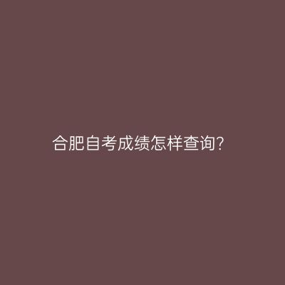 合肥自考成绩怎样查询？