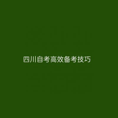 四川自考高效备考技巧