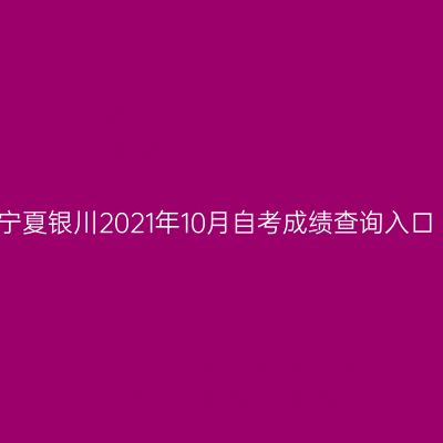 宁夏银川2021年10月自考成绩查询入口