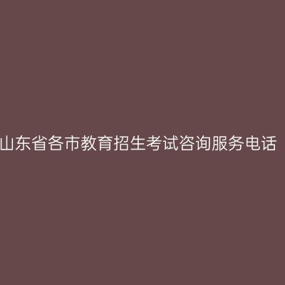 山东省各市教育招生考试咨询服务电话