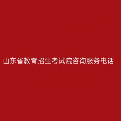山东省教育招生考试院咨询服务电话