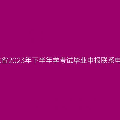山东省2023年下半年学考试毕业申报联系电话