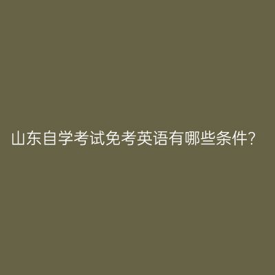 山东自学考试免考英语有哪些条件?