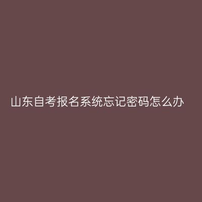 山东自考报名系统忘记密码怎么办