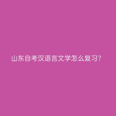 山东自考汉语言文学怎么复习?