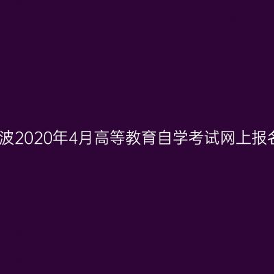 浙江宁波2020年4月高等教育自学考试网上报名公告