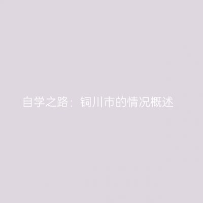 自学之路：铜川市的情况概述