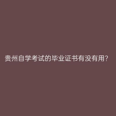 贵州自学考试的毕业证书有没有用?