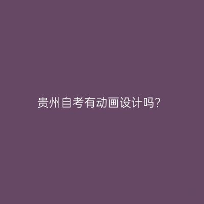 贵州自考有动画设计吗?