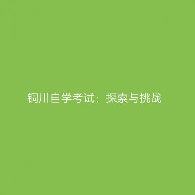 铜川自学考试：探索与挑战