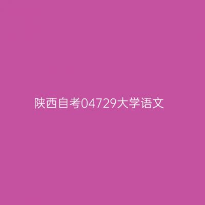 陕西自考04729大学语文
