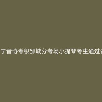 2013年济宁音协考级邹城分考场小提琴考生通过名单揭晓