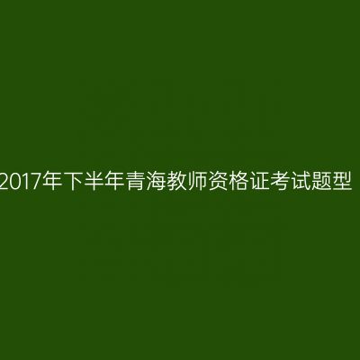 2017年下半年青海教师资格证考试题型