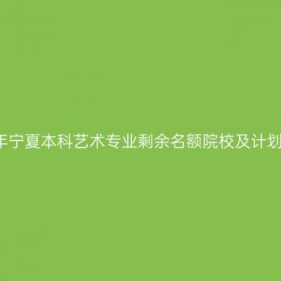 2017年宁夏本科艺术专业剩余名额院校及计划一览