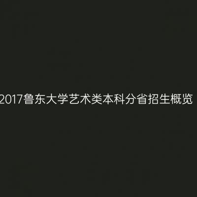 2017鲁东大学艺术类本科分省招生概览