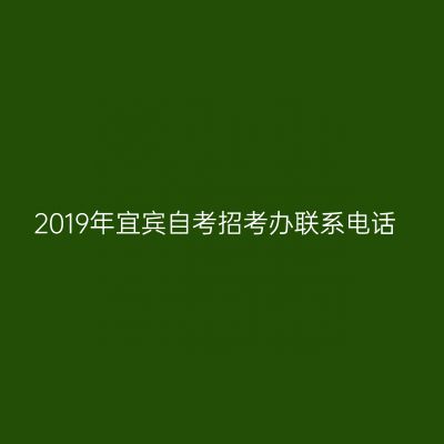 2019年宜宾自考招考办联系电话