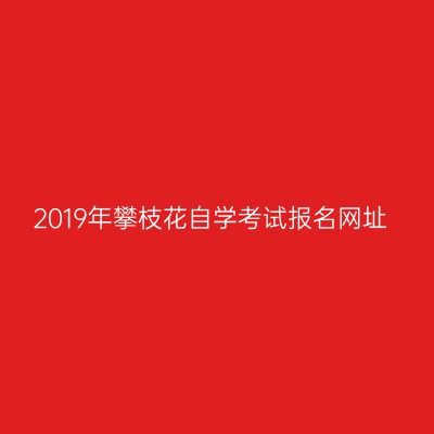 2019年攀枝花自学考试报名网址