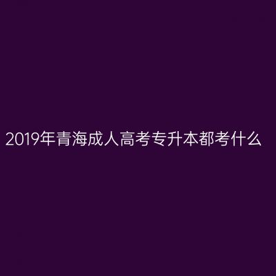 2019年青海成人高考专升本都考什么
