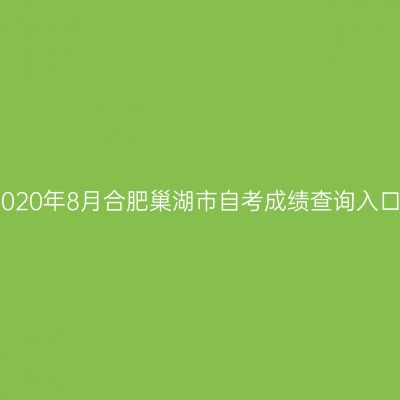 2020年8月合肥巢湖市自考成绩查询入口