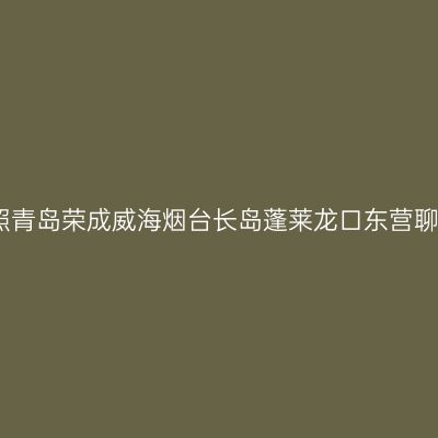 2020山东自驾游记：盐城日照青岛荣成威海烟台长岛蓬莱龙口东营聊城阳谷济宁篇（2020年6月）