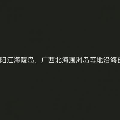 2020年12月广东阳江海陵岛、广西北海涠洲岛等地沿海自驾游攻略（一）