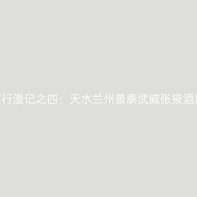 2020自驾西行漫记之四：天水兰州景泰武威张掖酒泉嘉峪关篇