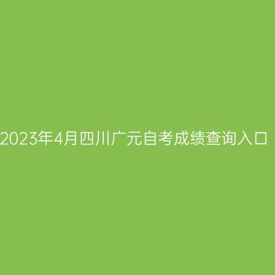 2023年4月四川广元自考成绩查询入口