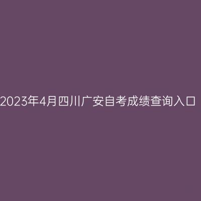 2023年4月四川广安自考成绩查询入口