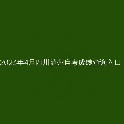 2023年4月四川泸州自考成绩查询入口