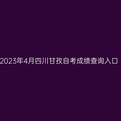 2023年4月四川甘孜自考成绩查询入口
