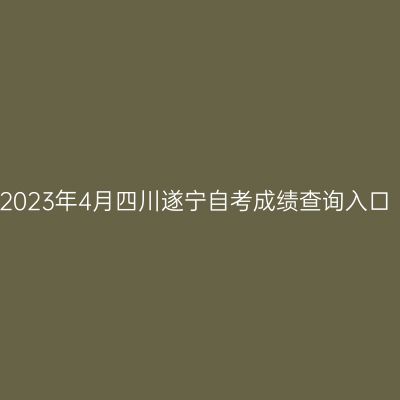 2023年4月四川遂宁自考成绩查询入口