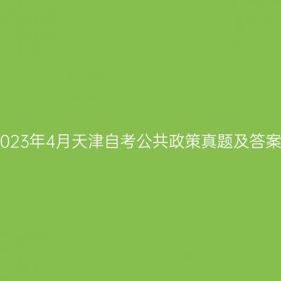 2023年4月天津自考公共政策真题及答案
