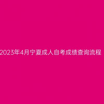 2023年4月宁夏成人自考成绩查询流程