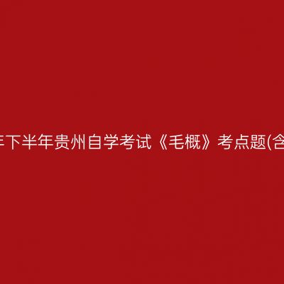 2024年下半年贵州自学考试《毛概》考点题(含答案)