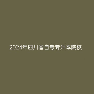 2024年四川省自考专升本院校