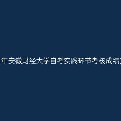 2024年安徽财经大学自考实践环节考核成绩查询