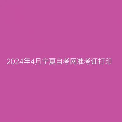 2024年4月宁夏自考网准考证打印