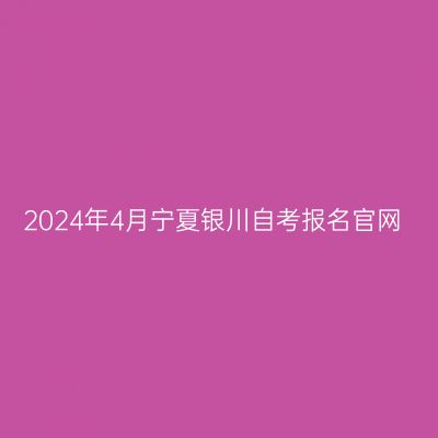 2024年4月宁夏银川自考报名官网