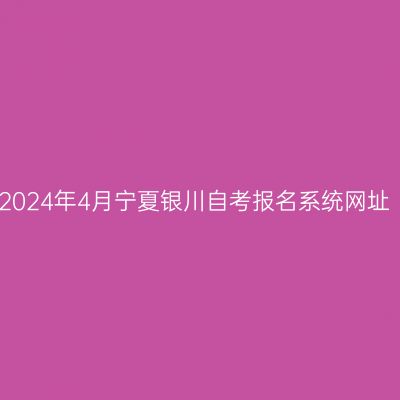 2024年4月宁夏银川自考报名系统网址