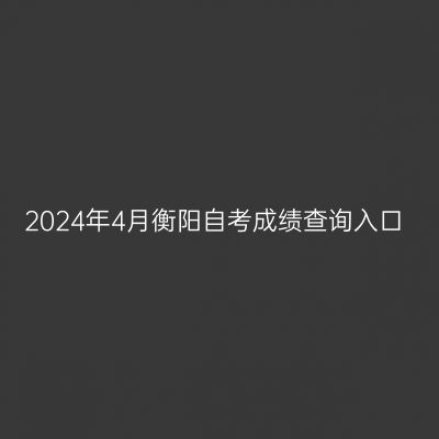 2024年4月衡阳自考成绩查询入口