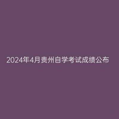 2024年4月贵州自学考试成绩公布