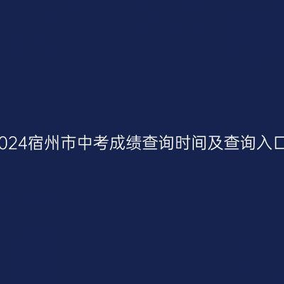 2024年宿州中考成绩查询指南：时间及入口详解