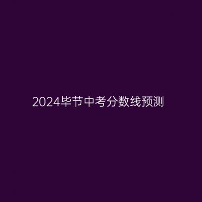 2024年毕节中考分数线预测一览